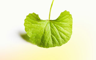 Tips to Choose The Best Moisturizer for Sensitive Skin