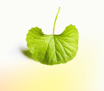Tips to Choose The Best Moisturizer for Sensitive Skin